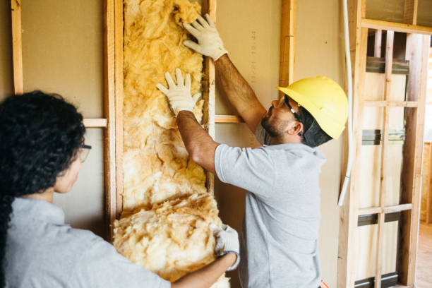 Reliable Blossom, TX Insulation Installation & Removal Solutions