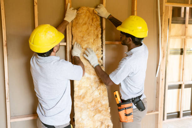 Best Eco-Friendly or Green Insulation Solutions  in Blossom, TX