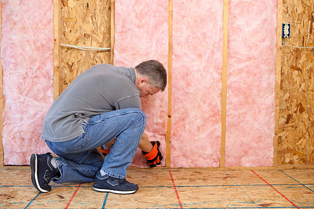 Best Blown-In Insulation  in Blossom, TX