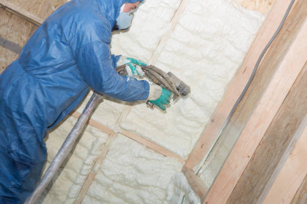 Types of Insulation We Offer in Blossom, TX